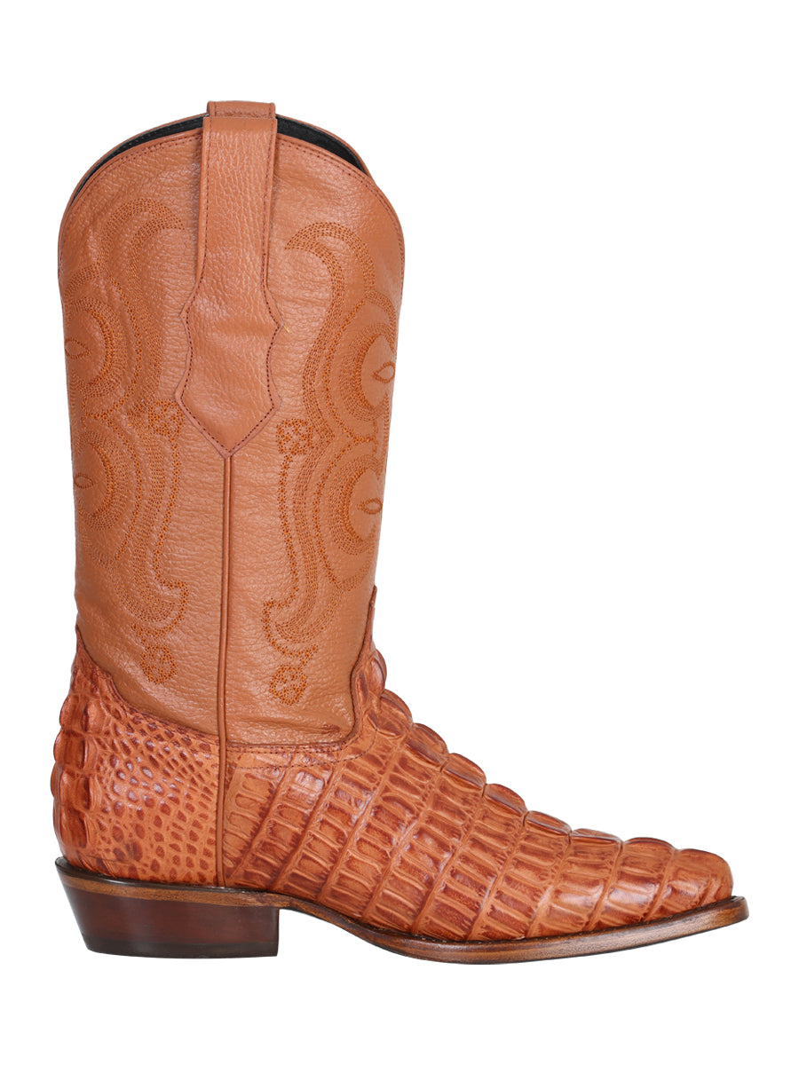 Bota cowboy El Señor de los Cielos - Caiman - Cognac 40841
