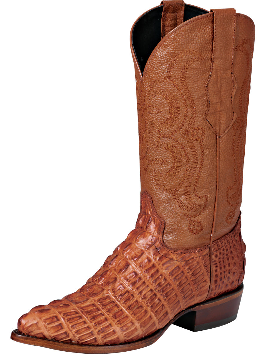 Bota cowboy El Señor de los Cielos - Caiman - Cognac 40841